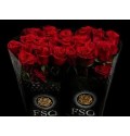 ΤΡΙΑΝΤΑΦΥΛΛΟ ΚΟΚΚΙΝΟ 50εκ. ROSEN  ECUADOR FREEDOM 50cm